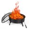 29inch Fire Pit, Wood Burning Fire Bonfire Pits Outdoor BBQ Grill Fire Pit Bowl for Camp